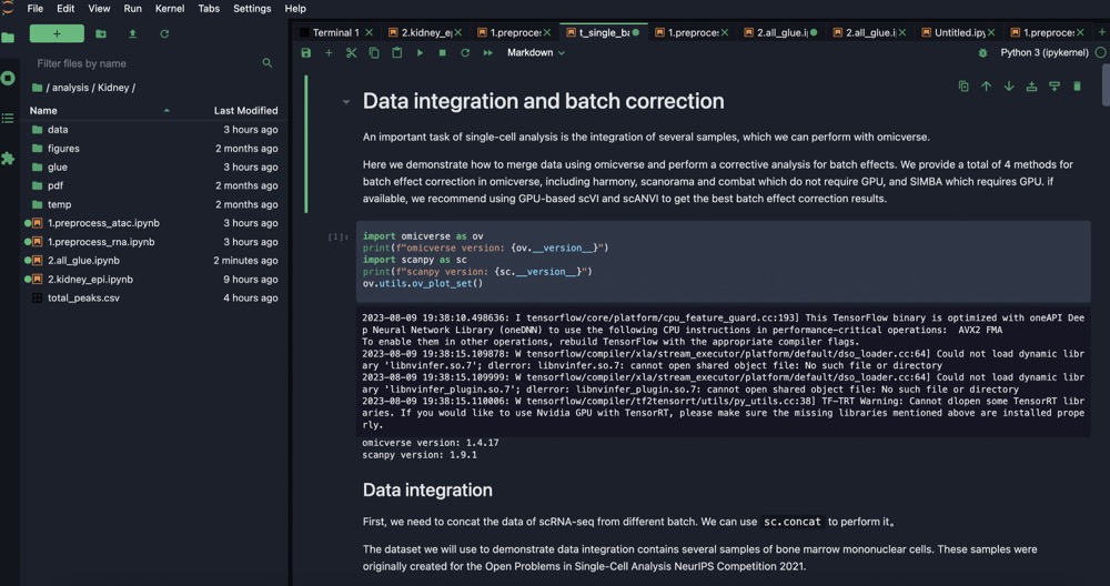 Jupyter Lab (dark mode)