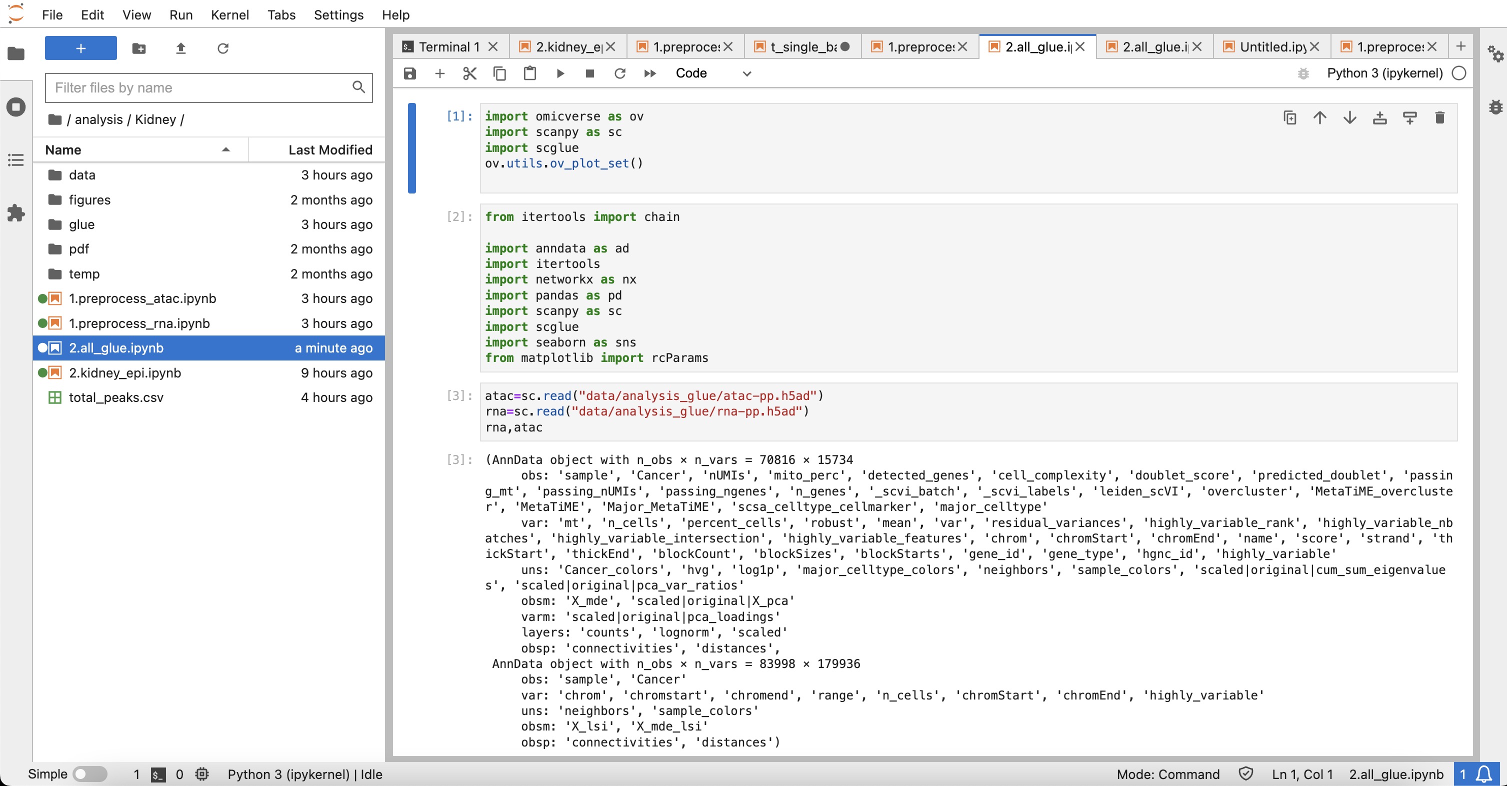 Jupyter Lab (light mode)